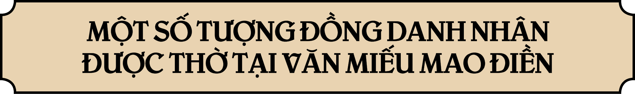 M T S T  NG   NG DANH NH N    C TH  T I V N MI U MAO  I N