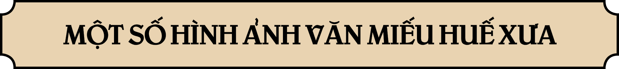 M T S H NH  NH V N MI U HU  X A