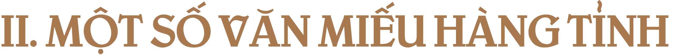 II. M T S V N MI U H NG T NH 