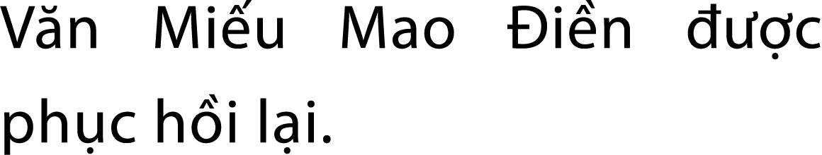 V n Mi u Mao i n    c ph c h i l i.