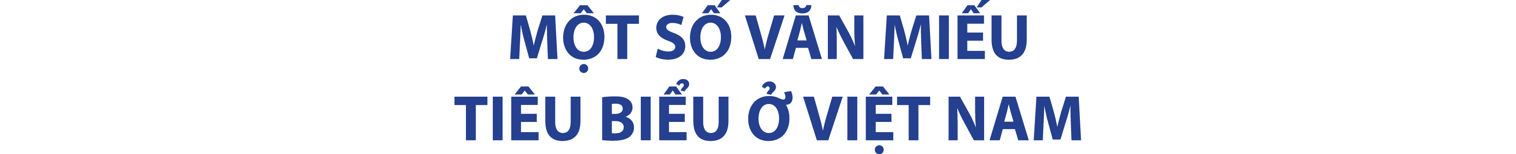 M T S V N MI U TI U BI U   VI T NAM 