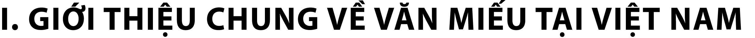 I. GI I THI U CHUNG V V N MI U T I VI T NAM