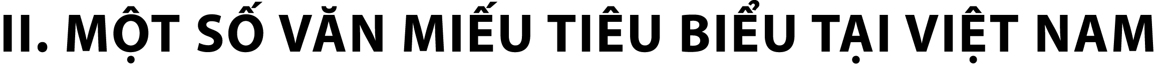 II. M T S V N MI U TI U BI U T I VI T NAM