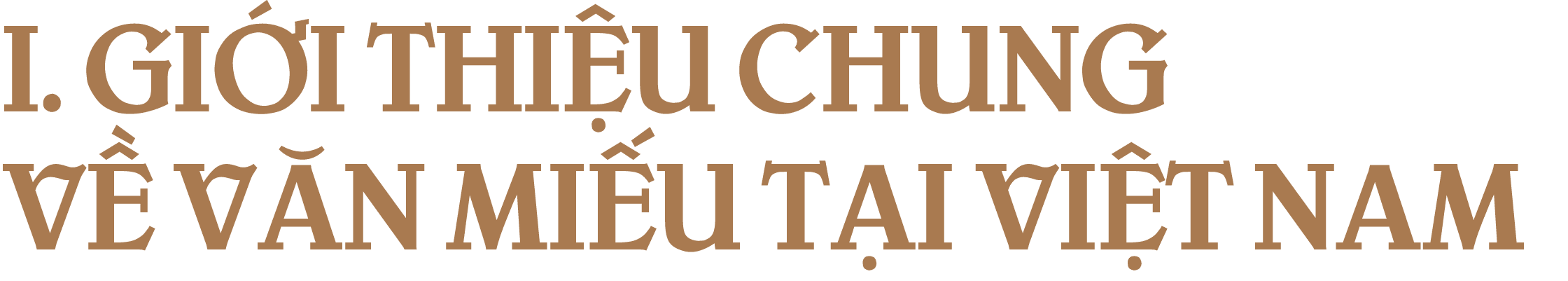 I. GI I THI U CHUNG V V N MI U T I VI T NAM