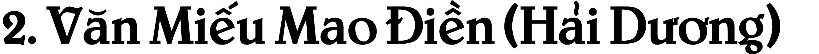 2. V n Mi u Mao i n (H i D  ng)