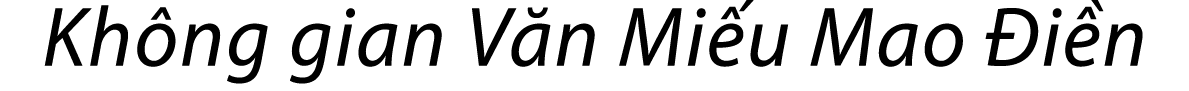 Kh ng gian V n Mi u Mao i n