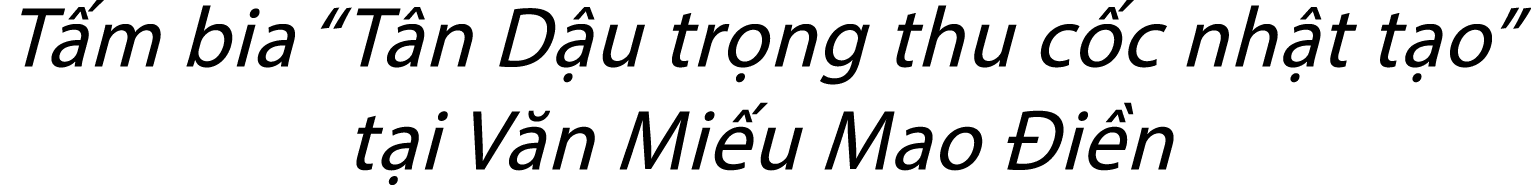 T m bia “T n D u tr ng thu c c nh t t o” t i V n Mi u Mao i n