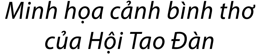 Minh h a c nh b nh th c a H i Tao   n