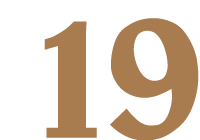 19