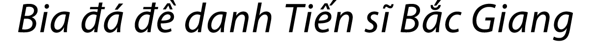 Bia      danh Ti n s  B c Giang