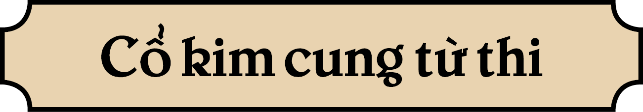 C kim cung t  thi